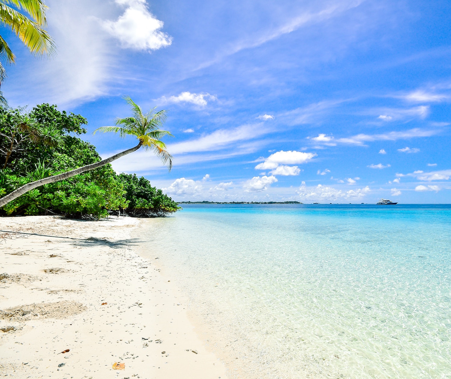 You are currently viewing 100+ Beach Quotes & Captions: Short, Funny, Inspirational