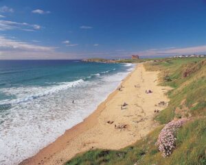 Read more about the article 15 Best Beaches in Newquay: All you need to know is here