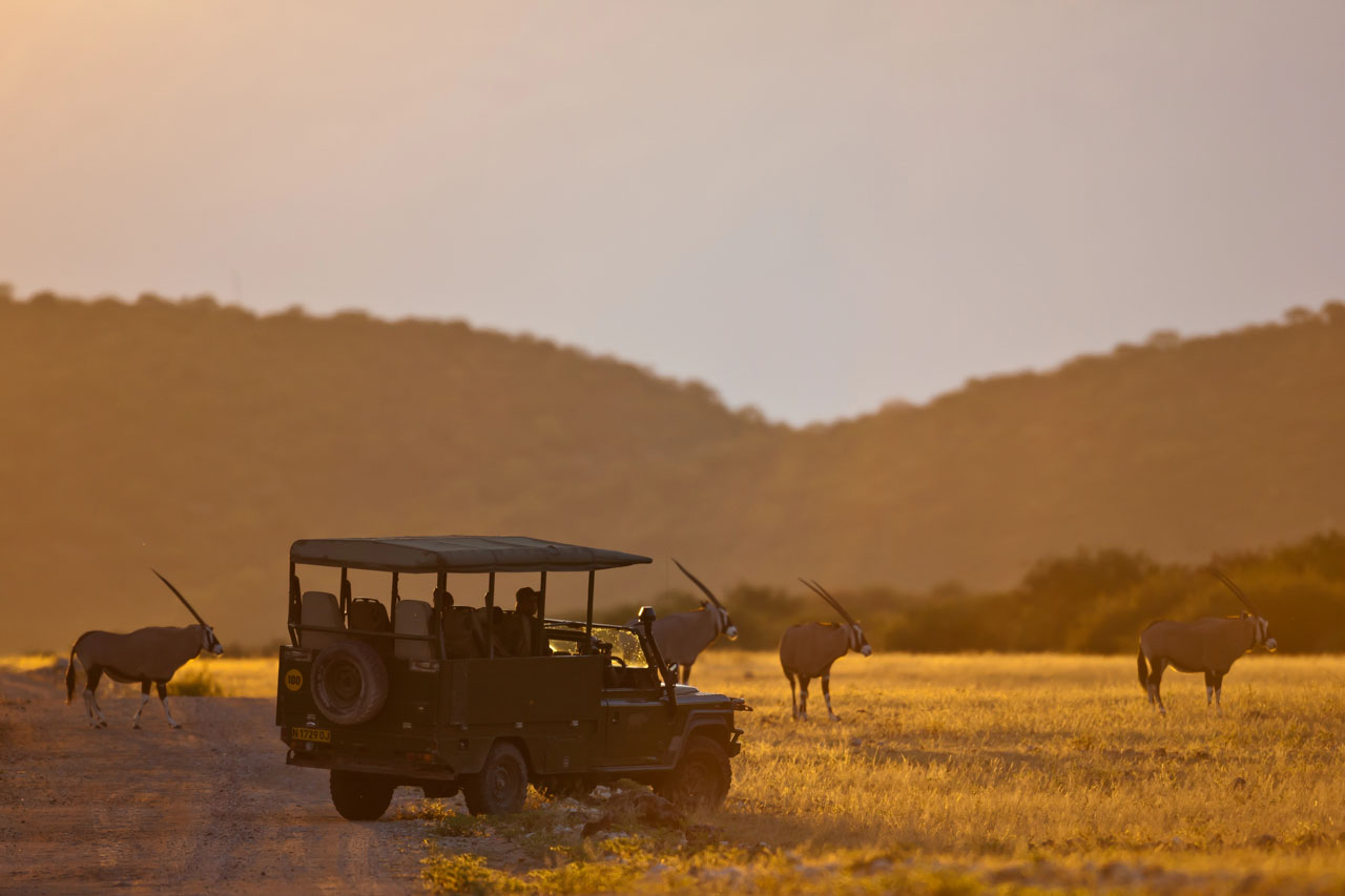 Read more about the article Luxury Safari Guide: What to Expect from the World’s Best Lodges